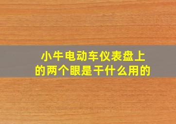 小牛电动车仪表盘上的两个眼是干什么用的