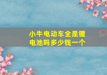 小牛电动车全是锂电池吗多少钱一个