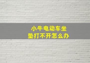 小牛电动车坐垫打不开怎么办