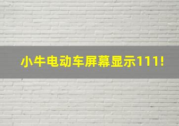 小牛电动车屏幕显示111!