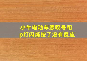 小牛电动车感叹号和p灯闪烁按了没有反应