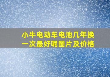 小牛电动车电池几年换一次最好呢图片及价格