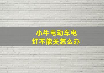 小牛电动车电灯不能关怎么办