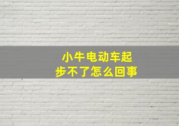 小牛电动车起步不了怎么回事