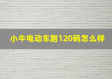 小牛电动车跑120码怎么样