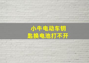 小牛电动车钥匙换电池打不开