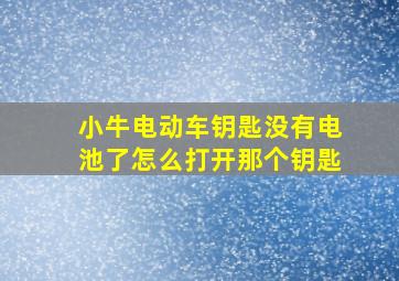 小牛电动车钥匙没有电池了怎么打开那个钥匙