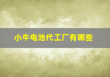 小牛电池代工厂有哪些