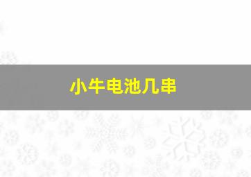 小牛电池几串