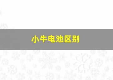 小牛电池区别