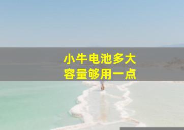 小牛电池多大容量够用一点