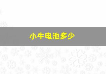 小牛电池多少