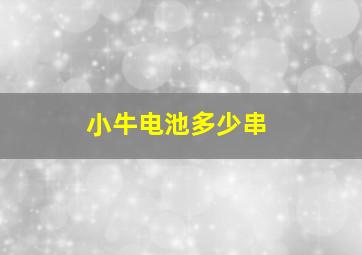 小牛电池多少串