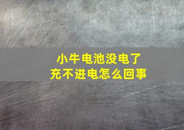 小牛电池没电了充不进电怎么回事