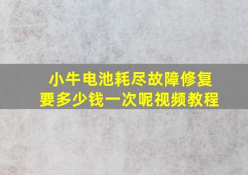 小牛电池耗尽故障修复要多少钱一次呢视频教程