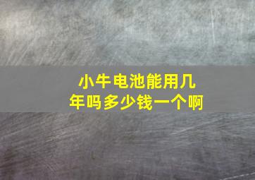 小牛电池能用几年吗多少钱一个啊