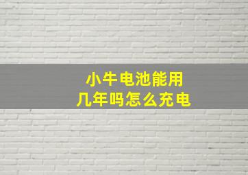 小牛电池能用几年吗怎么充电