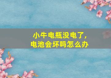 小牛电瓶没电了,电池会坏吗怎么办