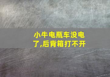 小牛电瓶车没电了,后背箱打不开