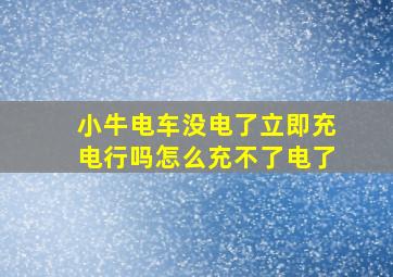 小牛电车没电了立即充电行吗怎么充不了电了