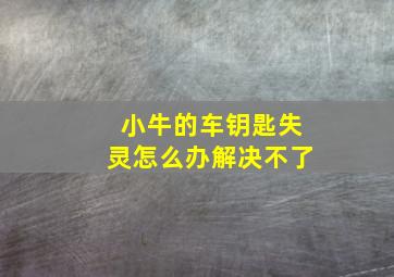 小牛的车钥匙失灵怎么办解决不了