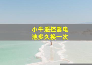 小牛遥控器电池多久换一次