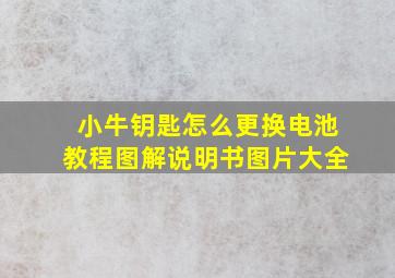 小牛钥匙怎么更换电池教程图解说明书图片大全