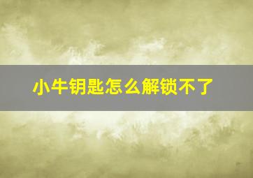 小牛钥匙怎么解锁不了