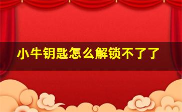 小牛钥匙怎么解锁不了了