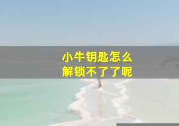 小牛钥匙怎么解锁不了了呢