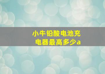 小牛铅酸电池充电器最高多少a