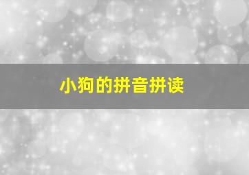 小狗的拼音拼读