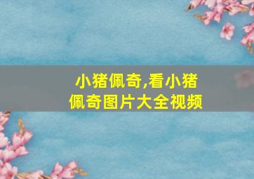 小猪佩奇,看小猪佩奇图片大全视频