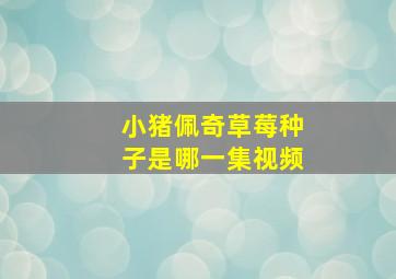 小猪佩奇草莓种子是哪一集视频