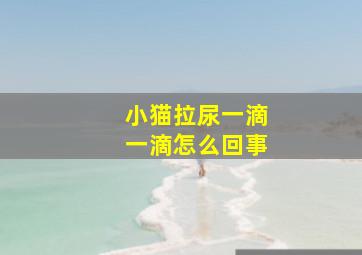 小猫拉尿一滴一滴怎么回事