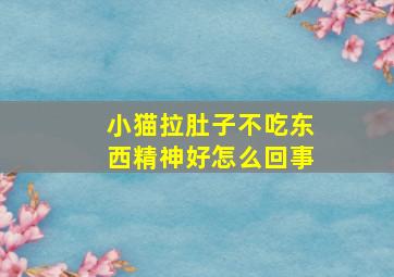 小猫拉肚子不吃东西精神好怎么回事