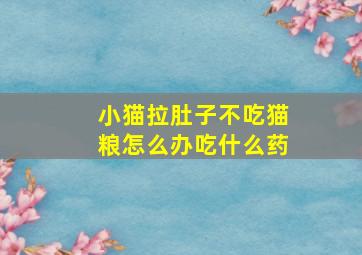 小猫拉肚子不吃猫粮怎么办吃什么药