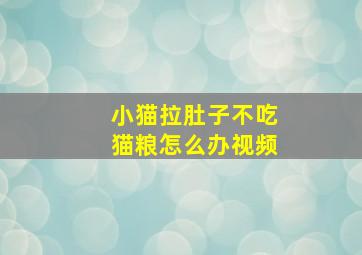 小猫拉肚子不吃猫粮怎么办视频