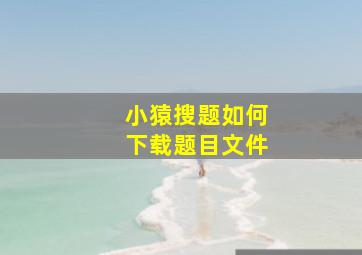 小猿搜题如何下载题目文件