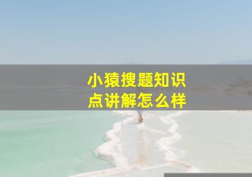 小猿搜题知识点讲解怎么样