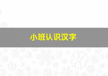 小班认识汉字