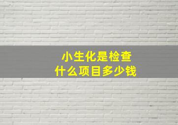 小生化是检查什么项目多少钱