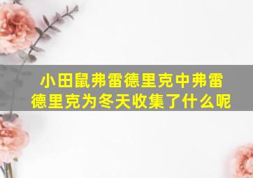 小田鼠弗雷德里克中弗雷德里克为冬天收集了什么呢