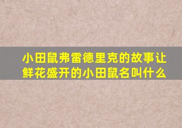 小田鼠弗雷德里克的故事让鲜花盛开的小田鼠名叫什么