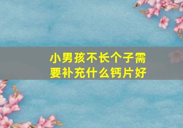 小男孩不长个子需要补充什么钙片好