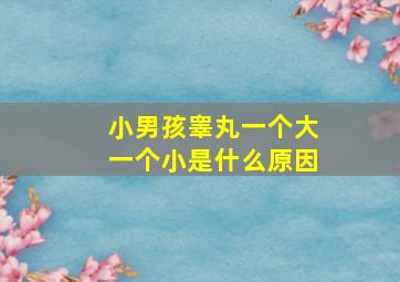 小男孩睾丸一个大一个小是什么原因