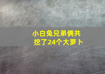 小白兔兄弟俩共挖了24个大萝卜