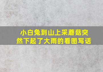 小白兔到山上采蘑菇突然下起了大雨的看图写话