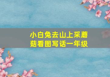 小白兔去山上采蘑菇看图写话一年级