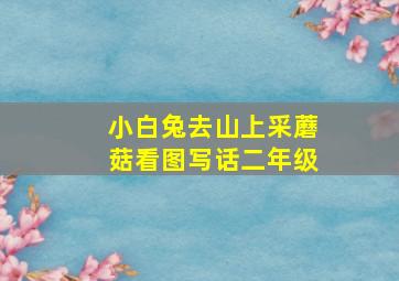 小白兔去山上采蘑菇看图写话二年级